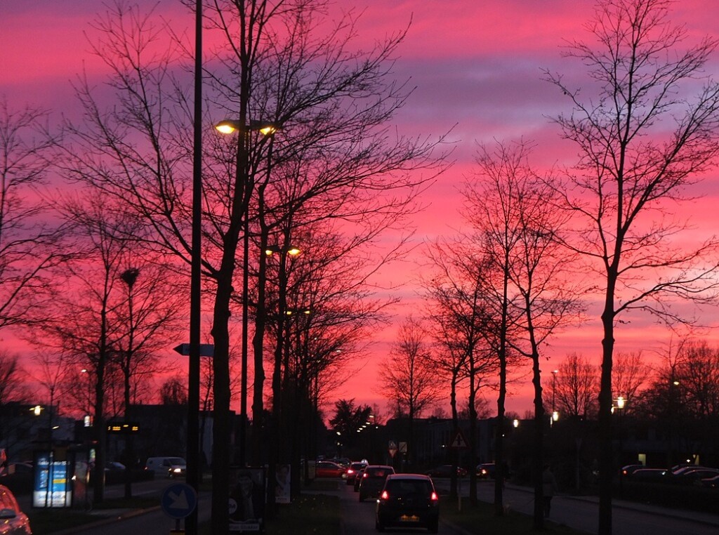 Avondlucht na het stemmen voor de gemeenteraad