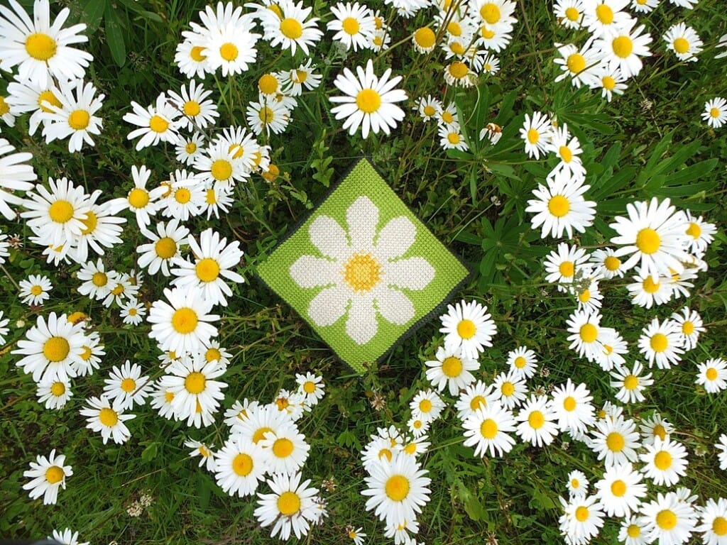 Margrieten geborduurd en echt