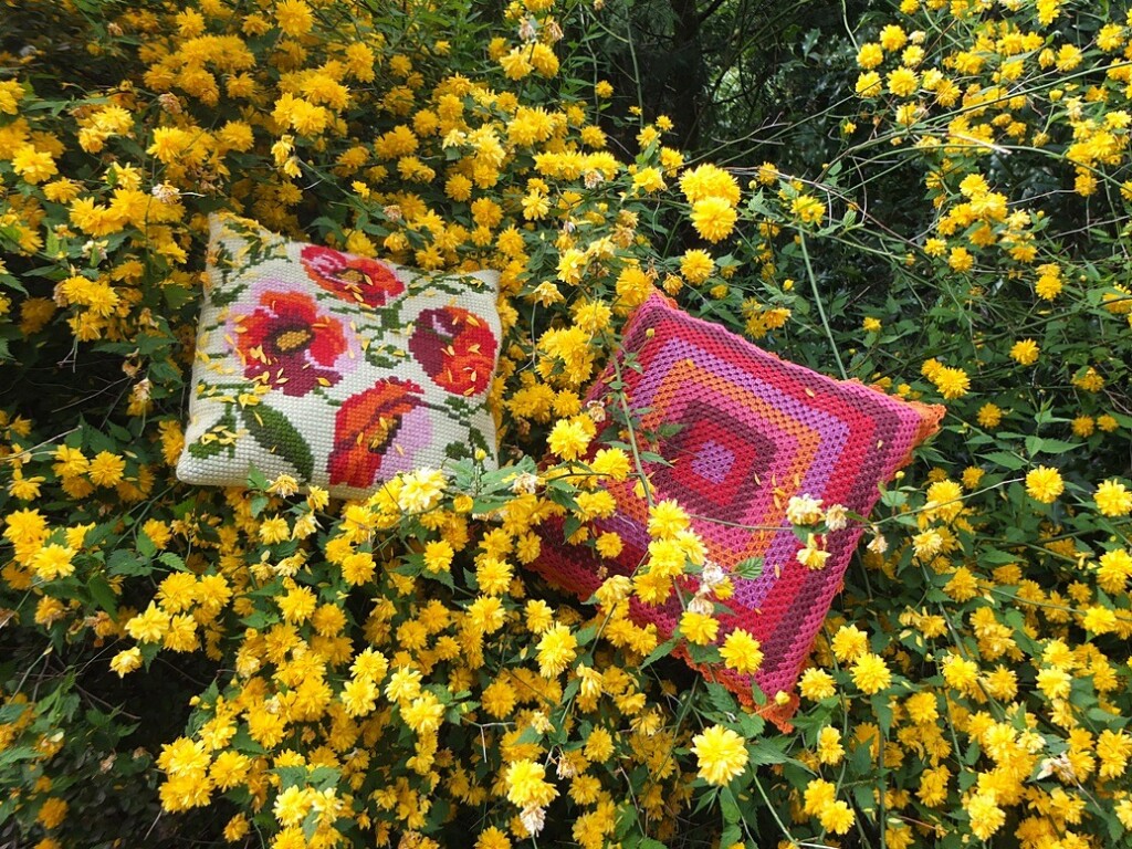 Twee oranje kussens in bloeiende Kerrie