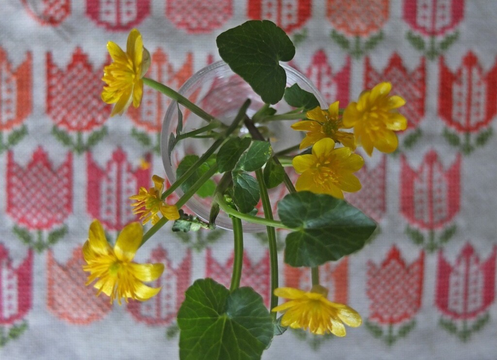 Speenkruid met geborduurde tulpen op achtergrond