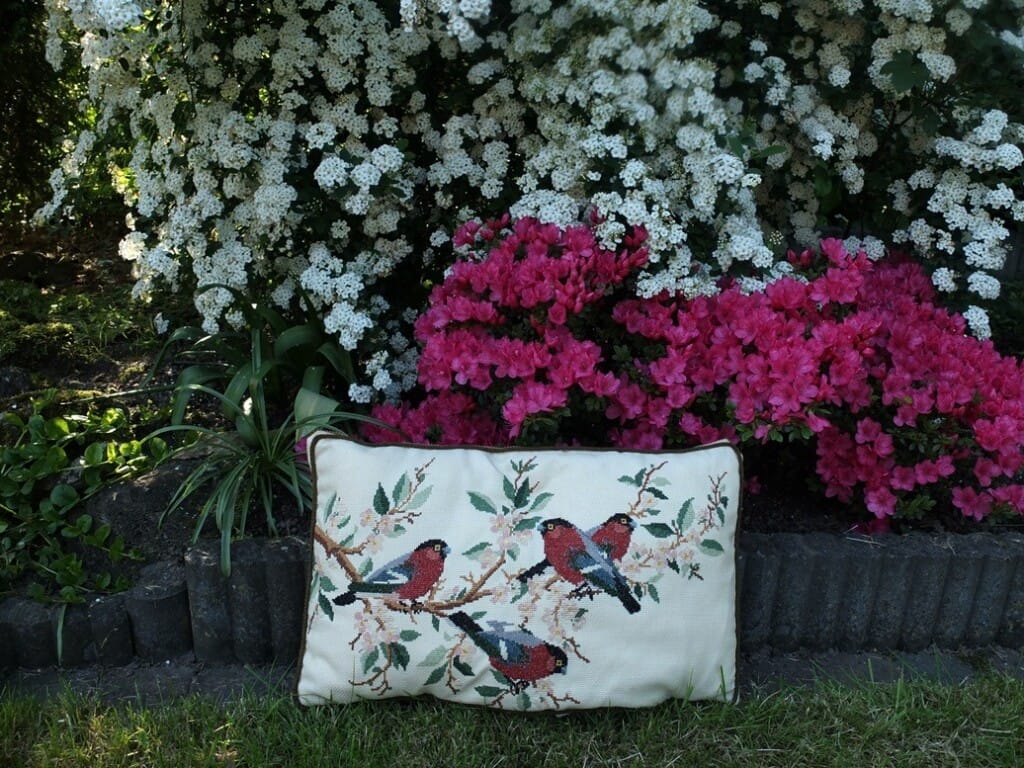 Geboruurde vogeltjes op kussen in tuin
