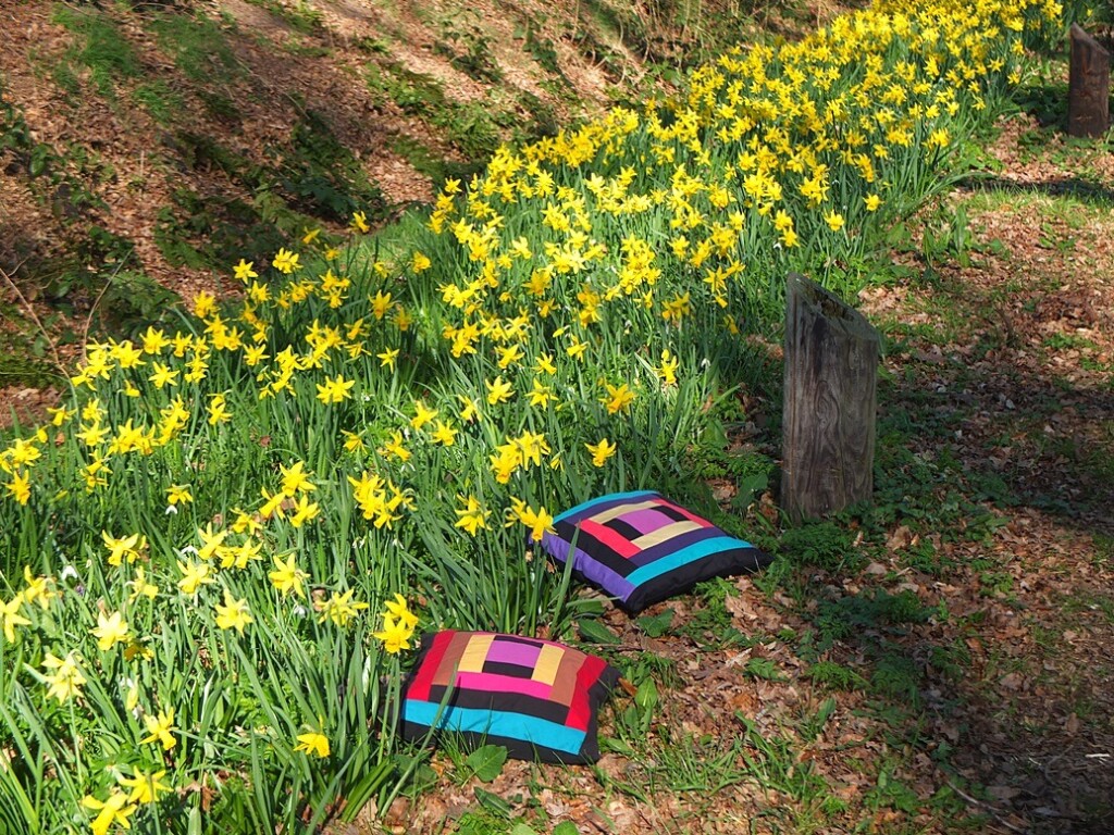 Patchwork kussentjes bij narcissen