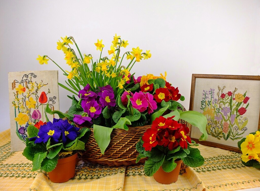 Primula's en geborduurde schilderijtjes voorjarasbloemen