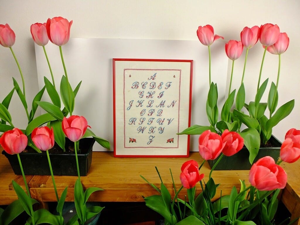 Geborduurd alfabet met tulpen