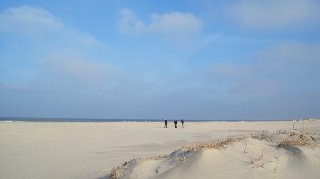 Brede strand van Schiermonnikoog