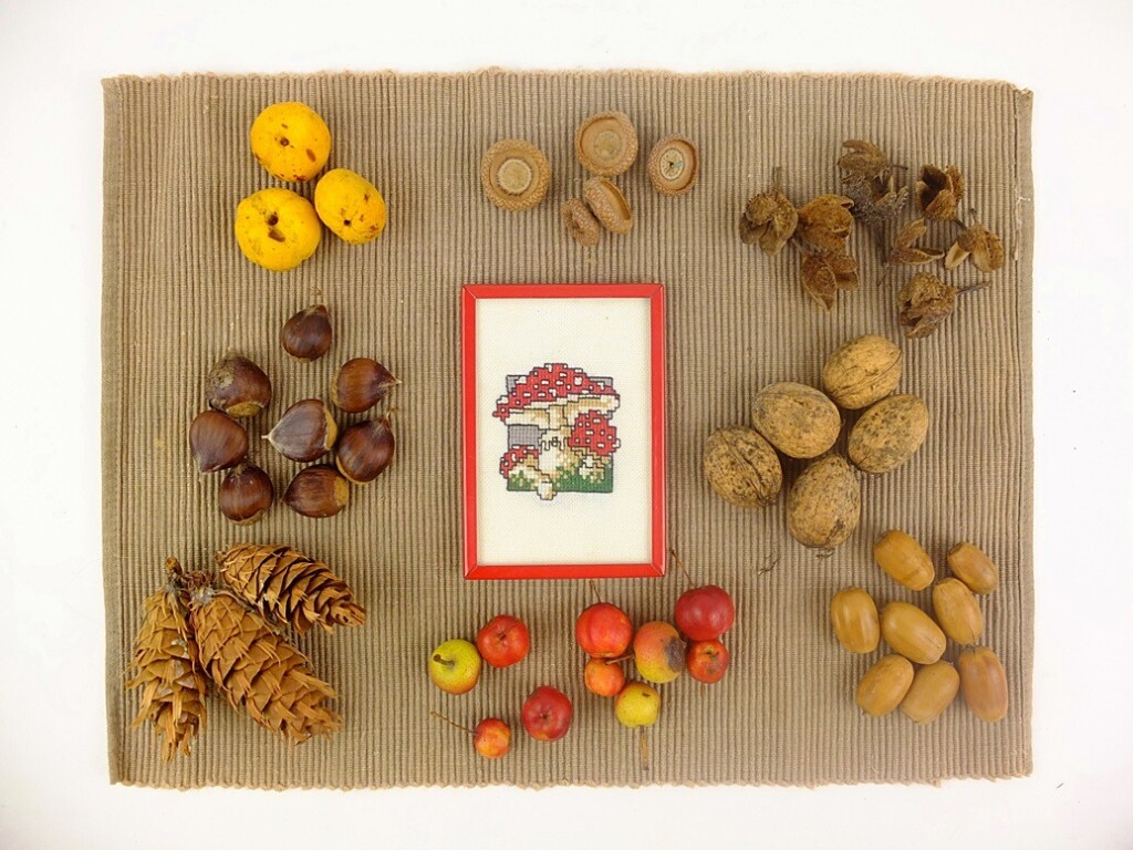 Borduurwerkje paddestoelen