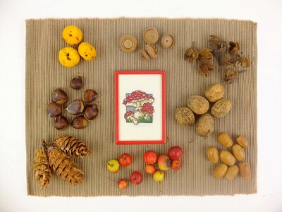 Borduurwerkje paddestoelen