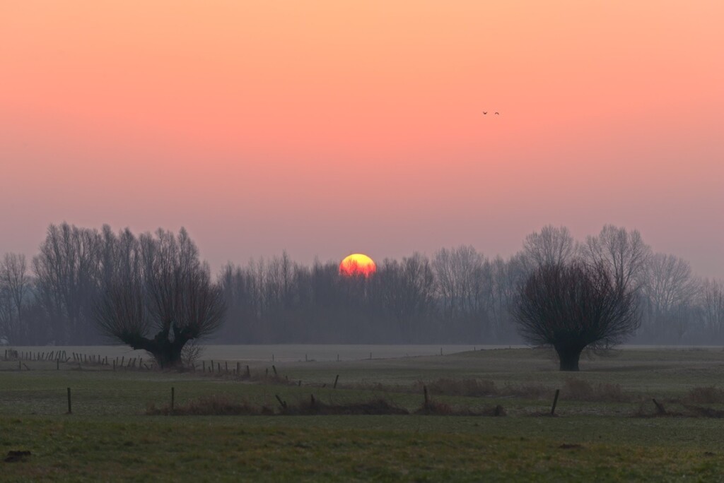Zonsopgang in februari