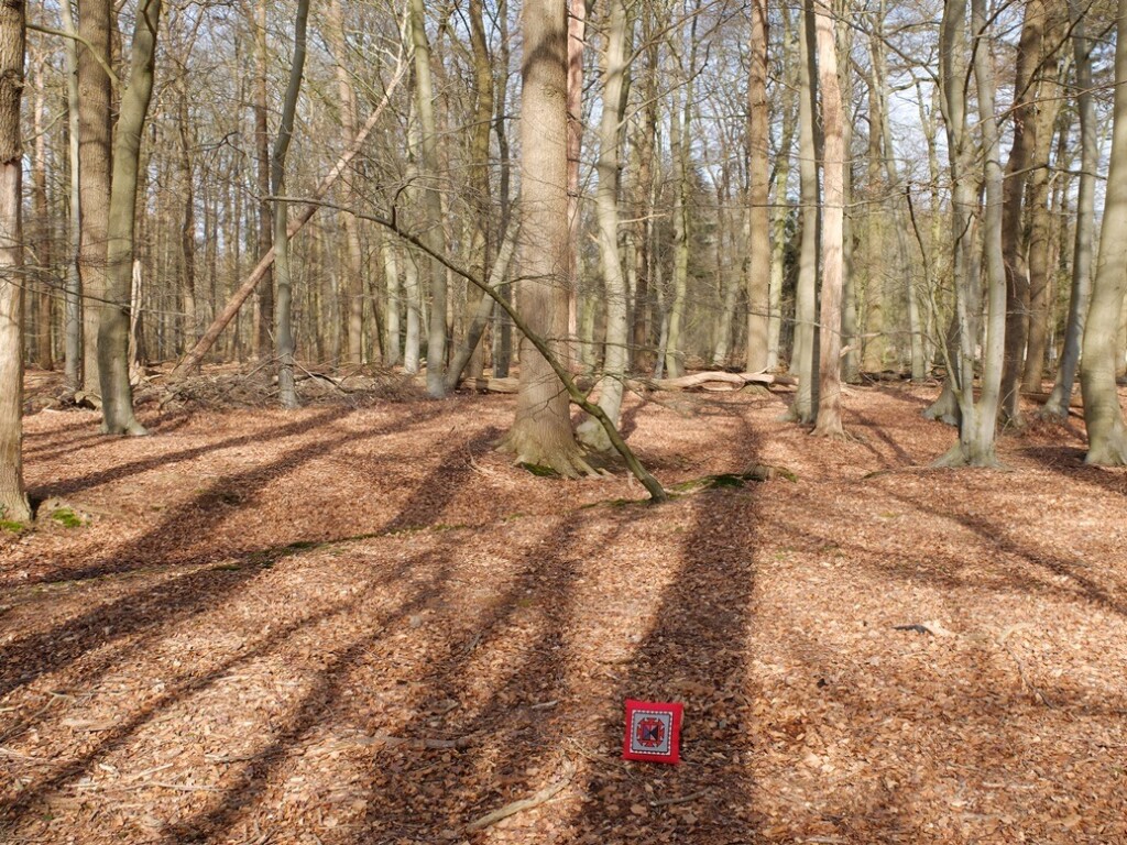 Klein kussentje in lentebos