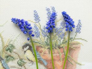 Blauwe druifjes op borduurwerk