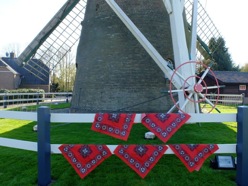 Boerenzakdoeken-aan-hek-van-molen