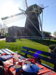 Picknick bij molen