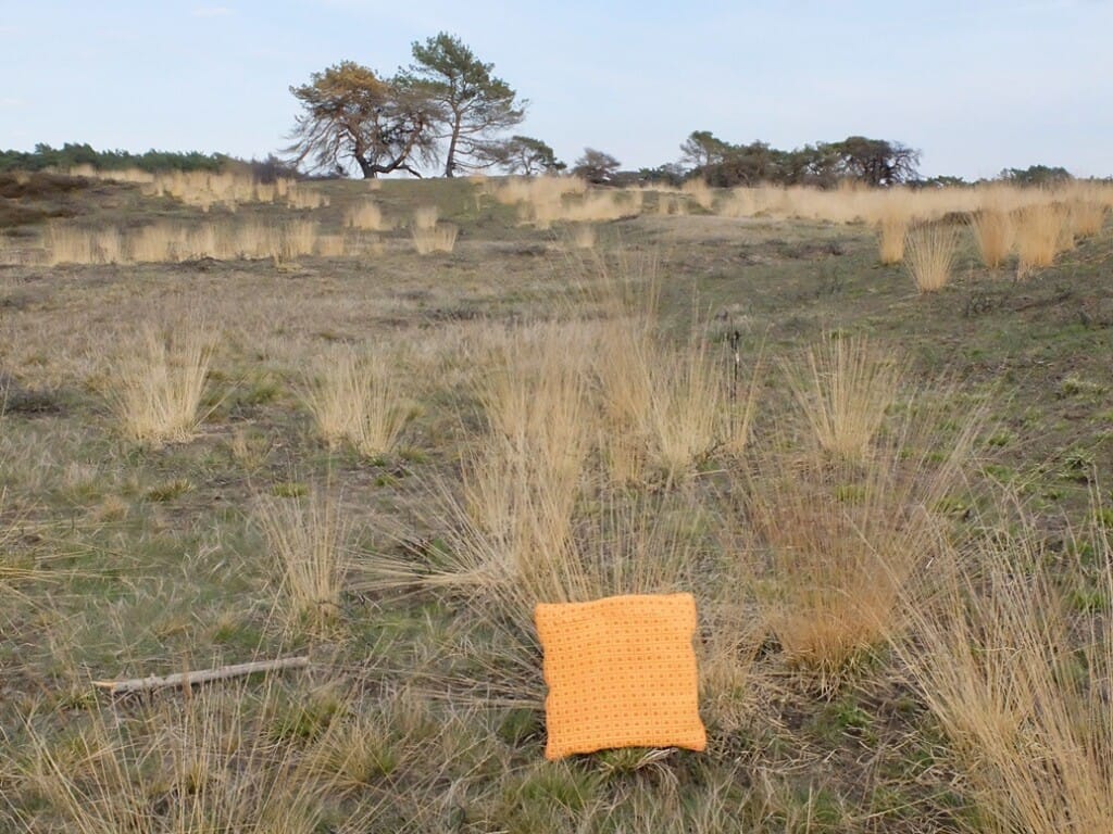 Oranje kussen op Hoge Veluwe