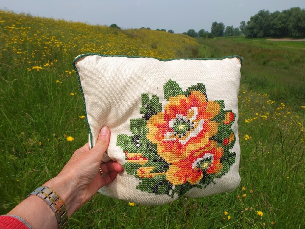 Kussentje tegen rivierdijk