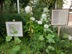 Borduurwerken in tuin BoerenwenteBorduurwerken Boerenwente