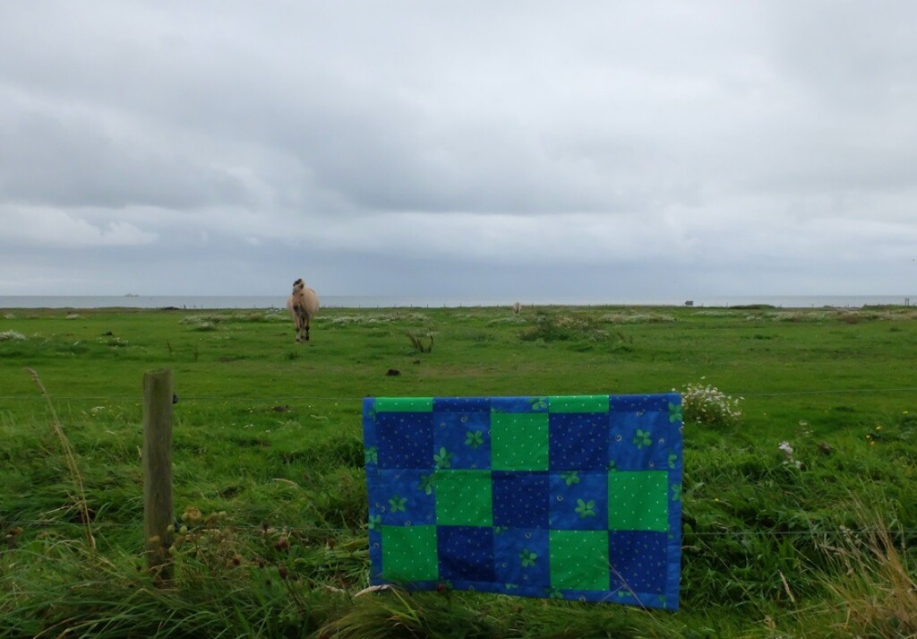Klein quiltje bij weiland aan Waddenzee