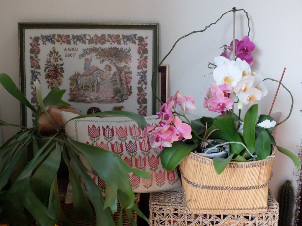 Kussen, schilderij en orchideeën