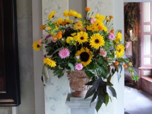 Zonnebloemen in paleis het Loo