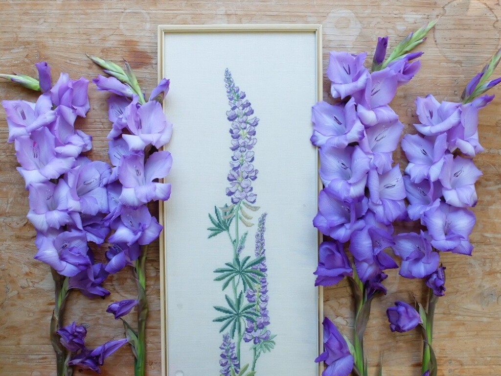 Geborduurd schilderij lupine tussen paarse gladiolen