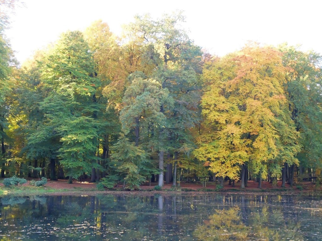 Landgoed Voorstonden in herfst