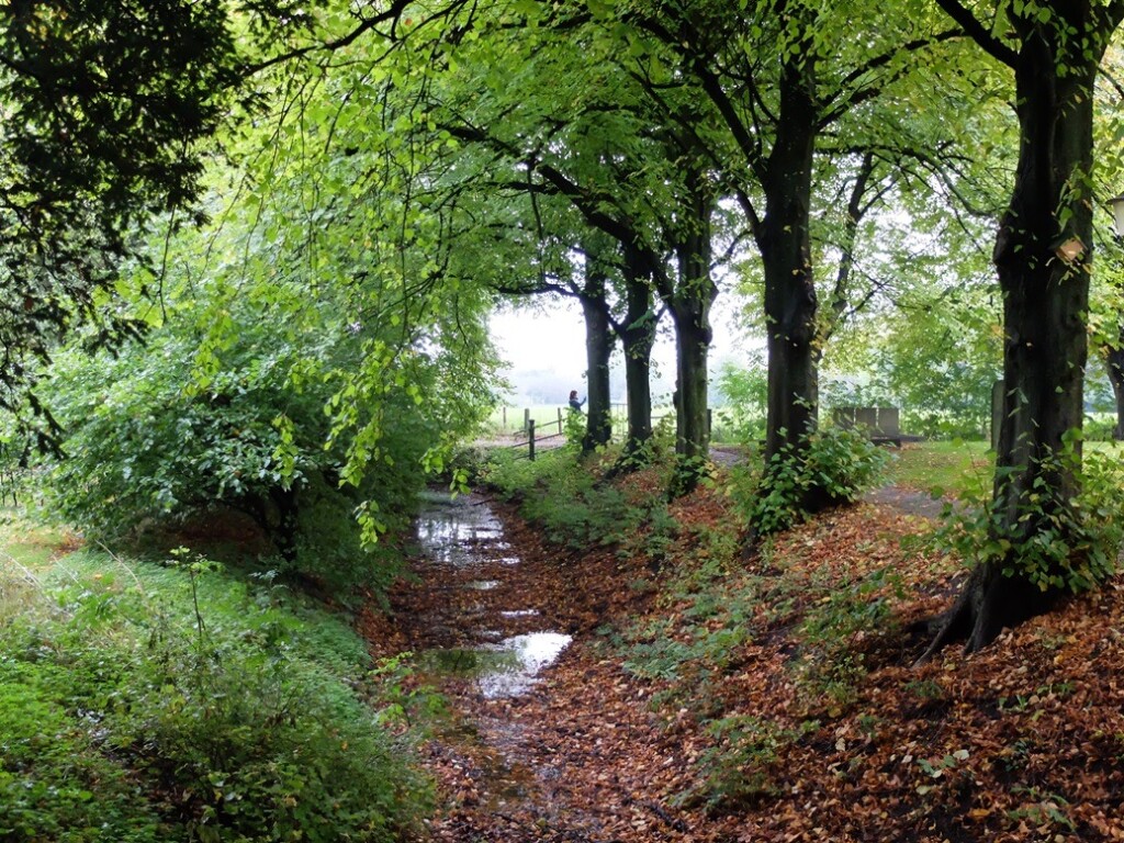 Sloot tussen pastorie en kerk in Westeremden