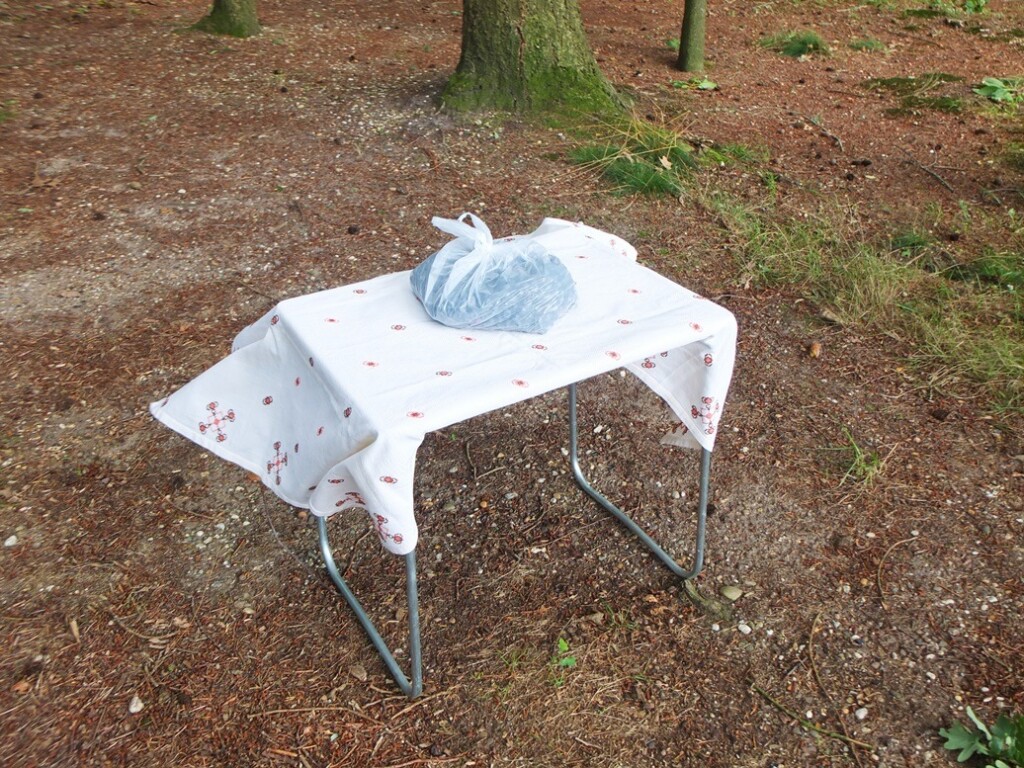 Tafeltje met kleedje in bos