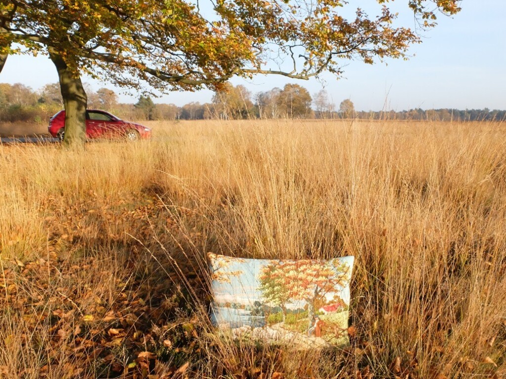 Tapisseriekussen tussen hoge gras