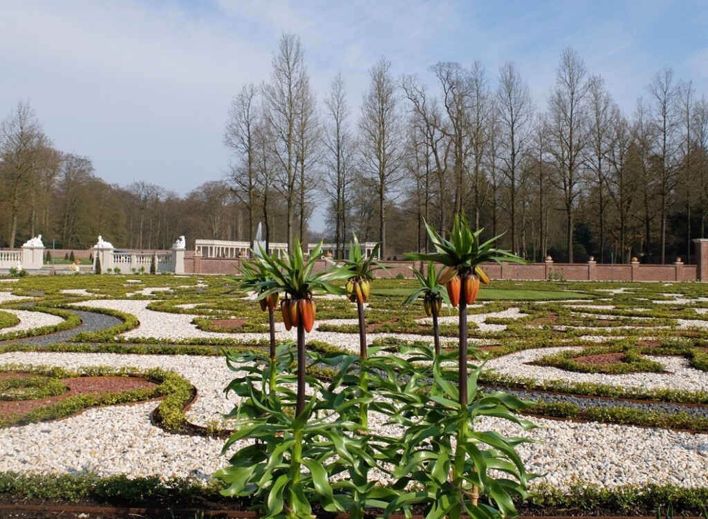 Keizerskroon in tuin Het Loo