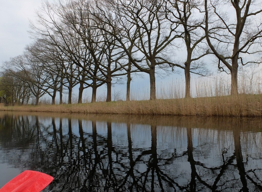 Weerspiegeling bomen in kanaal