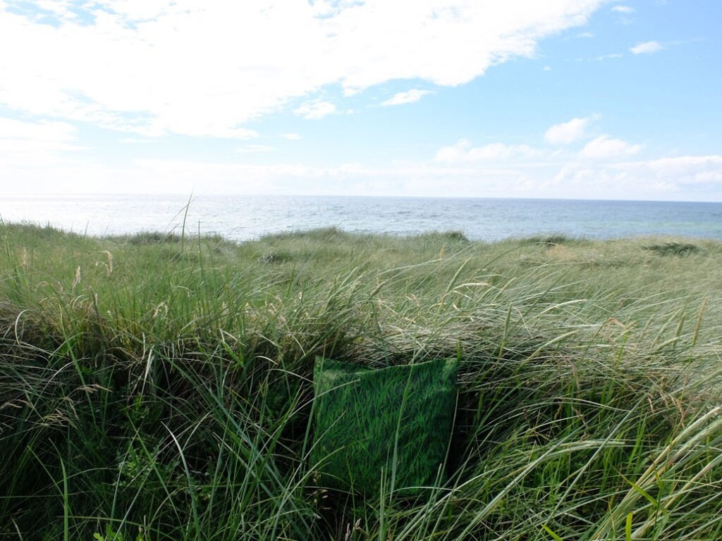 Kussentje in duinen