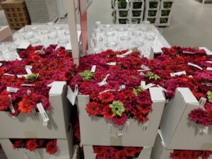 Bloemen bij Ikea