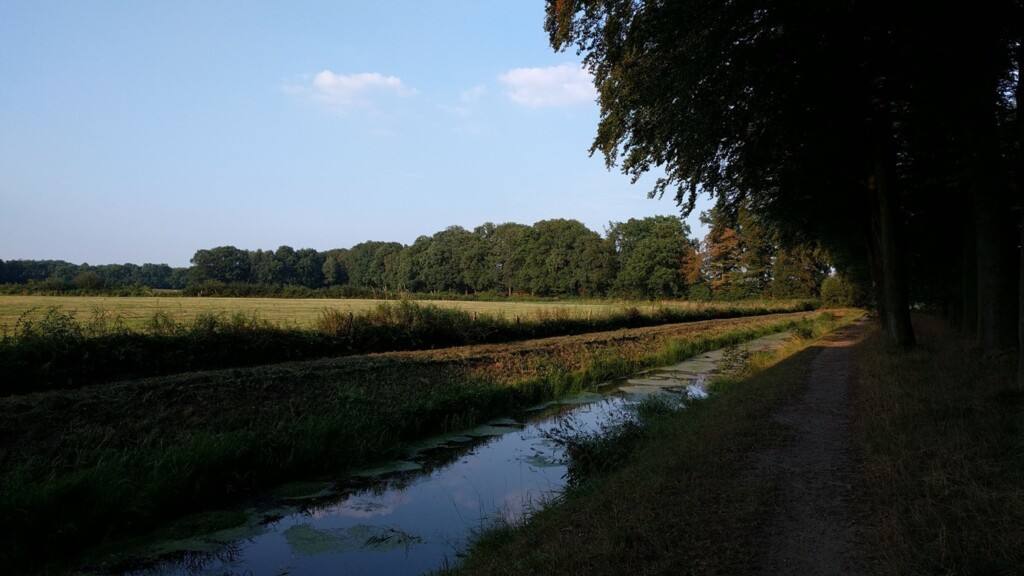 Slootje langs bosrand
