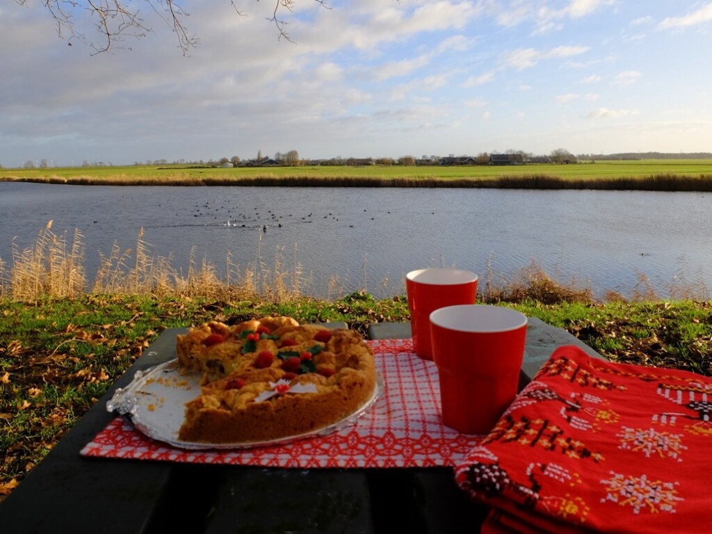 appeltaart op picknicktafel