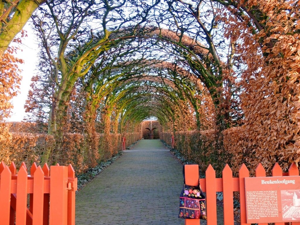 Beukenloofgang Muiderslot