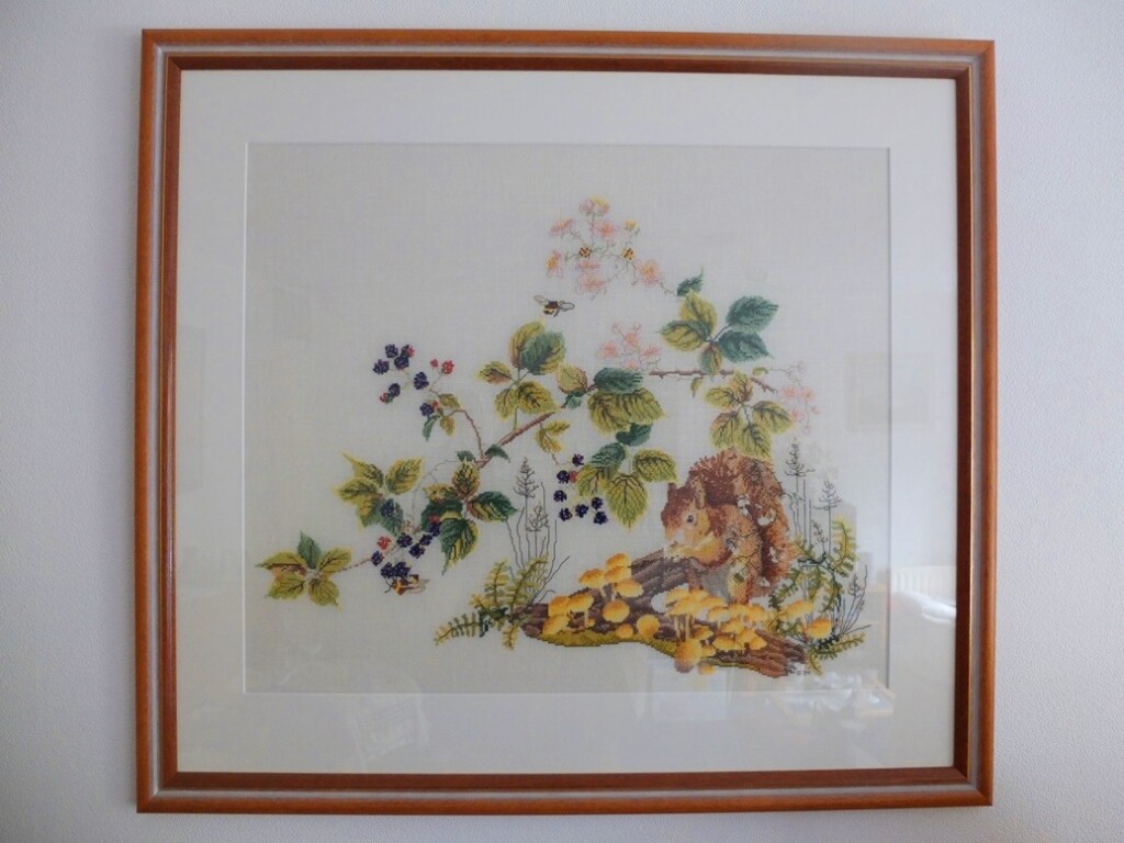 Geborduurd schilderij eekhoorn